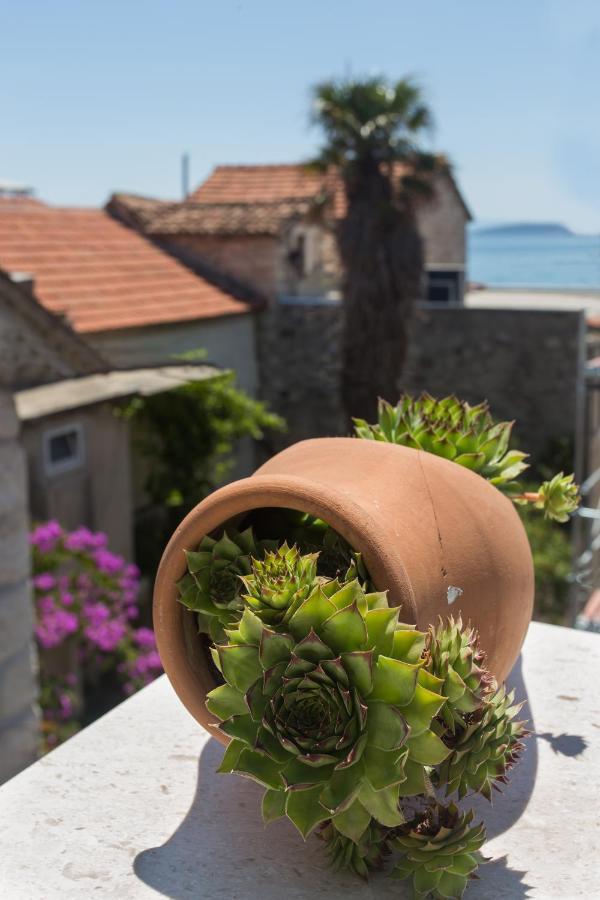 Amaizing Apartment Near Airport Kaštel Štafilić Extérieur photo